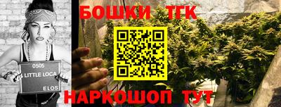 ПСИЛОЦИБИНОВЫЕ ГРИБЫ Кандалакша
