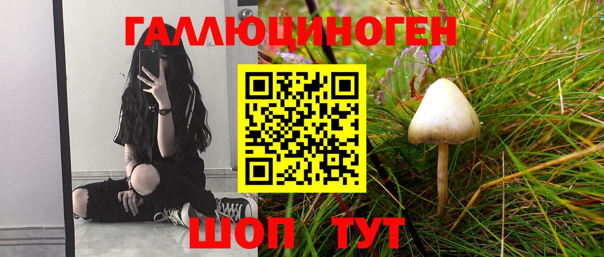 Галлюциногенные грибы прущие грибы Югорск