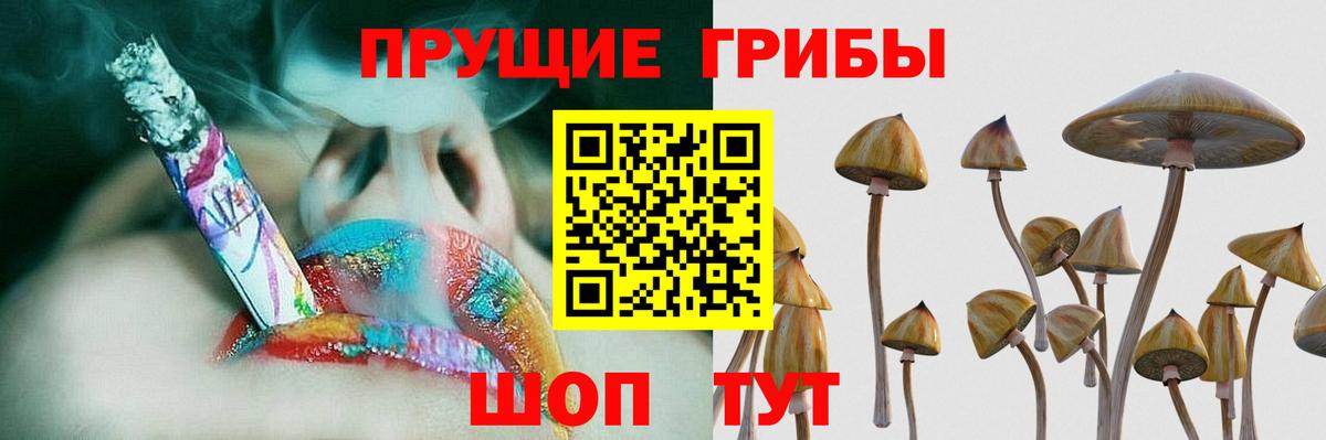 Галлюциногенные грибы мицелий  наркотики  Югорск  Вход с VPN 